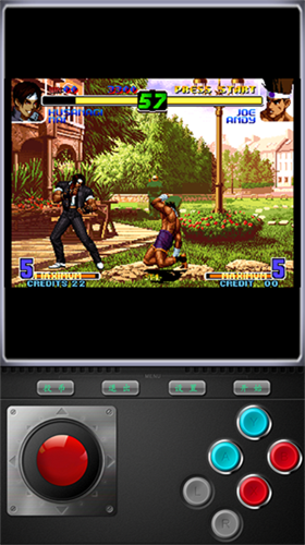 u62f3u7687u5341u5468u5e74u7eaau5ff5u7248u65e0u9650u91d1u5e01u7248