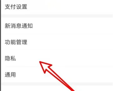 支付宝隐私设置界面示意图