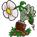 植物大战僵尸e版支线全新模式上线