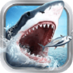 全民钓鱼内置功能全解锁版上线v8.6.0 钓竿全解锁版