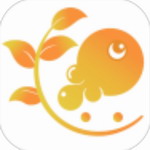 树鱼英语APP高效提升英语综合能力