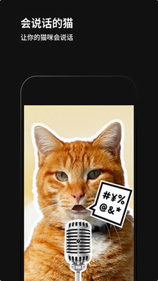 u9ed1u5494u76f8u673aappu4e0bu8f7du5b89u88c5u624bu673au7248