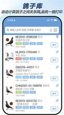 u8d5bu9e3du4e91