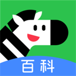 斑马百科3D互动学习助力儿童成长v1.31.0 