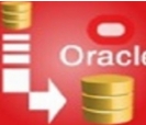 OracleCopier数据库高效迁移解决方案v2.2 中文版