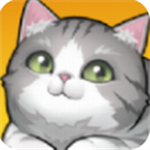 养了个猫治愈系猫咪休闲时光