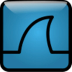 Wireshark专业网络协议检测工具免费下载v4.4.3