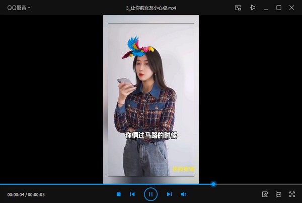 成品效果展示