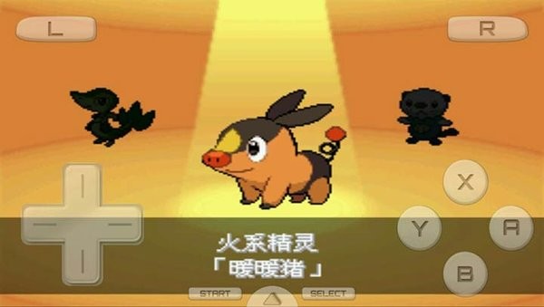 口袋妖怪黑2